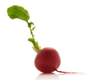 radish