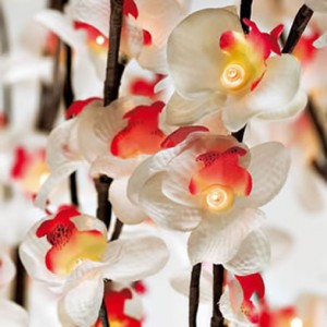 Bouquet-dorchidees-lumineuses-50126300-62589