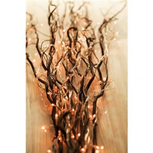 Branches-d-osier-lumineuses-50124300-62307