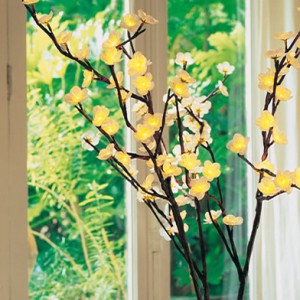 Branches-de-cerisier-lumineuses-50122710-62199