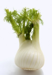 fennel