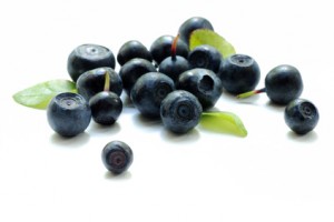 bilberry close up