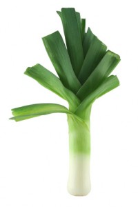 leek on white