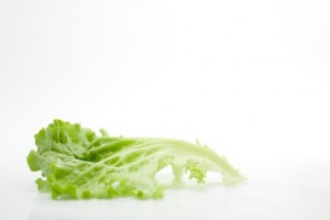 feuille de salade isolée sur un arrière plan blanc