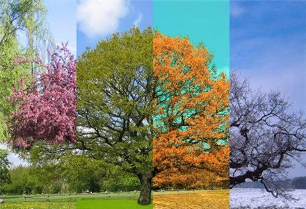 Les quatre saisons